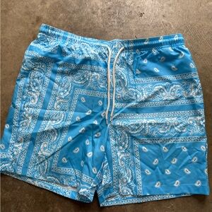 Blue Paisley Men's Swim Shorts